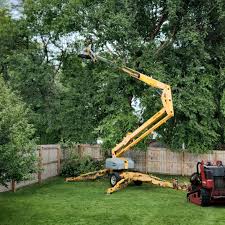 Best Tree Trimming and Pruning  in Sharon, TN